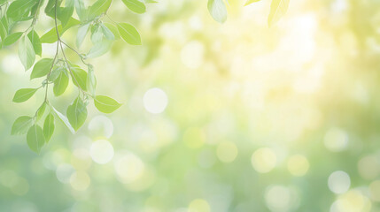 Obraz premium 葉っぱのキラキラ背景 leaf