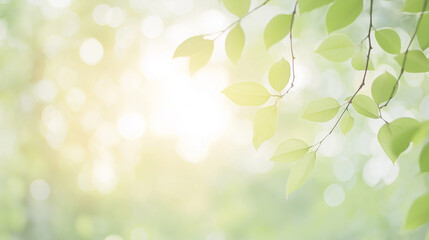 Obraz premium 葉っぱのキラキラ背景 leaf