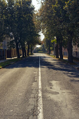 Empty road. Tall trees lining the road. Family houses along the road. Sidewalk, sunny day, sky, travel. Road in a small town.