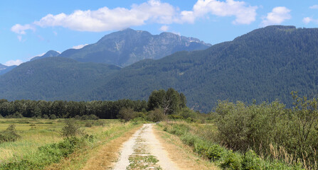 Gravel road of dykes between marshes