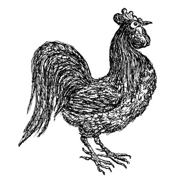 Hand drawing of cartoon rooster, profile, doodel vector illustration isolated on white