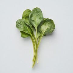 Fresh spinach leaves on a white background