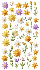 Beautiful Colorful Spring Flowers