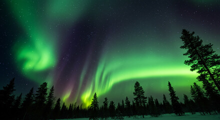 幻想的なオーロラ