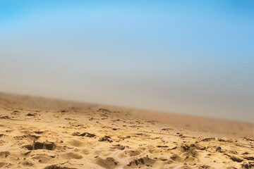 sand dunes in the desert