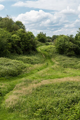 The green semi-natural meadows of the Kauwberg nature reserve