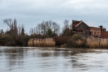 Winter nature landscape view over the Dender river in Dendermonde, Flanders, Belgium