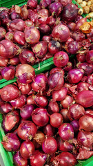 Red onion close-up in supermarket. Lots of red onions in plastic green box on market stall. Onions in green plastic box at farmers market. Onions for sale in store