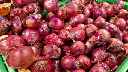 Red onion close-up in supermarket. Lots of red onions in plastic green box on market stall. Onions in green plastic box at farmers market. Onions for sale in store