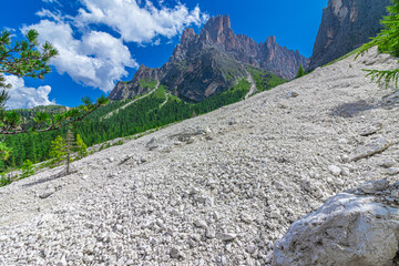 Landslide in a mountain valley