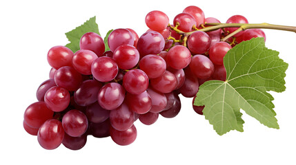Fototapeta premium Red Grapes Juicy and Sweet, Organic Summer Fruit Rich in Vitamins, isolated on transparent background.