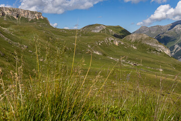Grossglockner mountain range in Austria with green slopes, stream and tall grass in the foreground