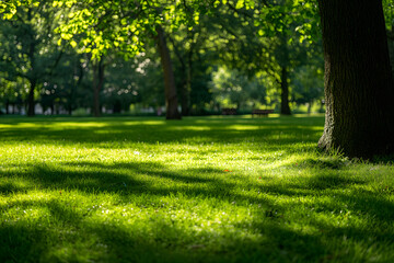 Obraz premium Family Enjoying Sunny Day with Joyful Picnic in Green Park 