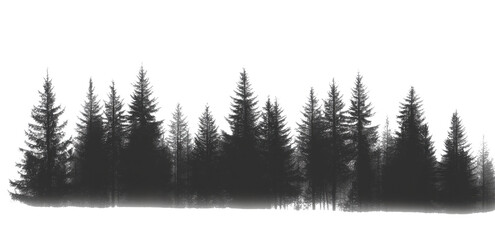 PNG Misty forest silhouette, serene nature
