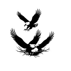 Obraz premium Bald Eagles Vector Logo Design