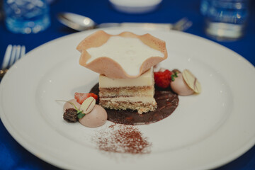 A multi-layered Tiramisu cake is served with additional cream or ice cream on top.