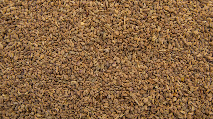 Thymol Seeds, Carom Seeds, Bishop's Weed Ajwain, Full Frame, Top View