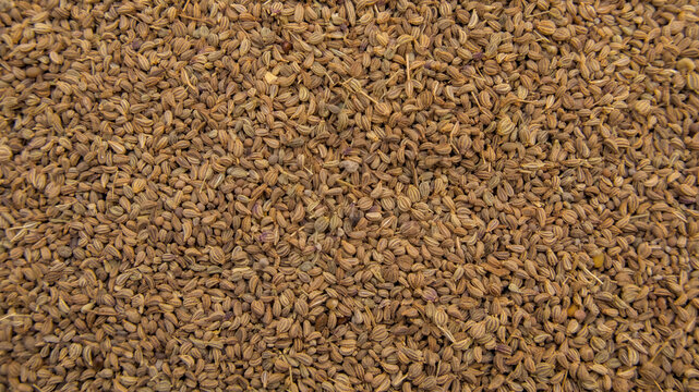 Thymol Seeds, Carom Seeds, Bishop's Weed Ajwain, Full Frame, Top View