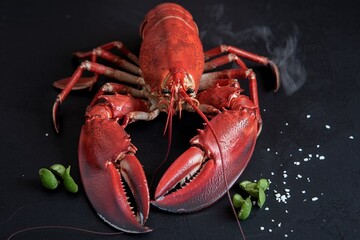 Delicious freshly steamed lobster on a black background