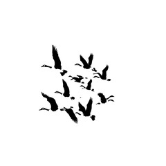 A Flock Of Birds Flying Vector Logo Design