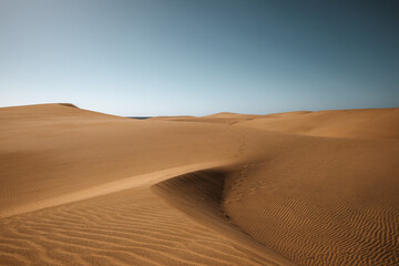 desert
