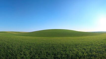 Fototapeta premium Rolling Green Hills Under a Clear Blue Sky
