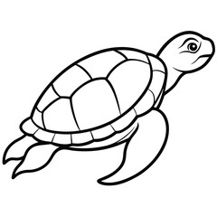 sea turtle illustration vector art