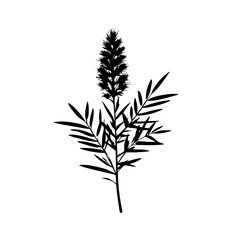 Naklejka premium Rosemary Plant Vector Logo Design