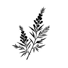 Obraz premium Rosemary Plant Vector Logo Design