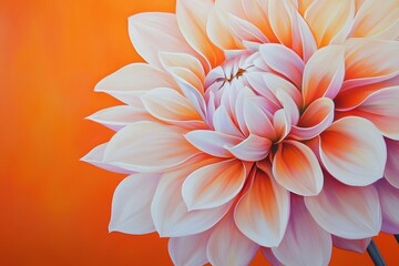 Obraz premium A Peach and White Dahlia Flower Against Orange Background