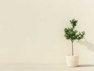 small potted plant against a minimalist beige wall