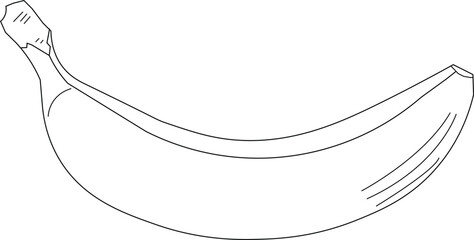 the illustration of Delicious Fruit that called Banana.