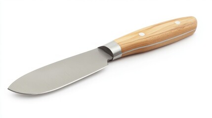 Stainless Steel Kitchen Knife with Wooden Handle and Smooth Finish