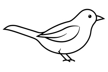 illustration of a bird line art