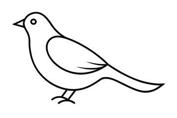 illustration of a bird line art