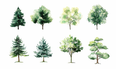 Fototapeta premium Watercolor Green Trees and Bushes Collection Minimalist Vector Illustration Set