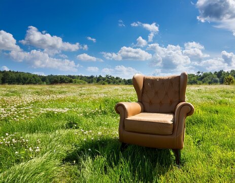 Un fauteuil marron pos&eacute; dans une prairie d'herbe verte luxuriante, sous un ciel bleu avec des nuages ​​blancs moelleux en arri&egrave;re-plan en ia