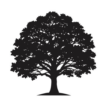 Silhouette of A Large Oak Tree vector silhouette
