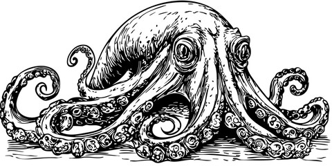 Black-and-White Cartoon Kraken Precision and Detail in Illustration, Sketch, No Background 