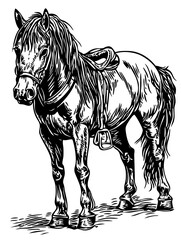Black-and-White Unicorn Precision and Detail in Illustration, No Background 