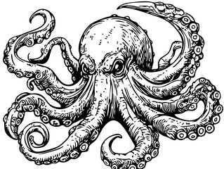Detailed Cartoon Kraken Drawing Perfect for Design and Art Projects, Sketch, Transparent Background 