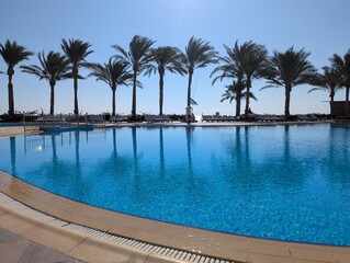 Enjoying a peaceful and relaxing experience poolside surrounded by palm trees and an ocean view