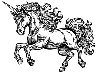 Detailed Unicorn Line Drawing Beautiful Monochrome Artwork, Transparent Background