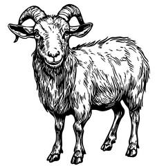 Monochrome Cartoon Goat Exquisite Hand-Drawn Illustration, Sketch, No Background