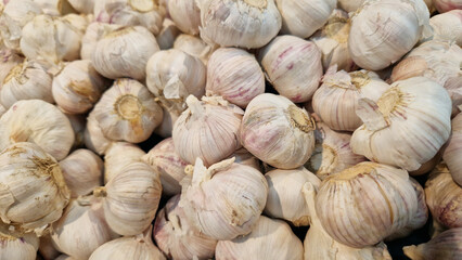 Garlic close up in supermarket. Lots of garlic in plastic green box on market stall. Garlic in green plastic box at farmers market. Garlic for sale in store. Display of fresh produce for sale