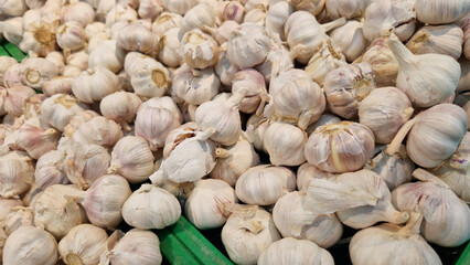 Garlic close up in supermarket. Lots of garlic in plastic green box on market stall. Garlic in green plastic box at farmers market. Garlic for sale in store. Display of fresh produce for sale