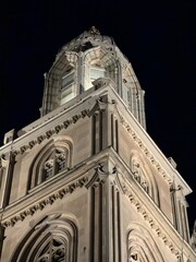 Grossm&uuml;nster at Zurich