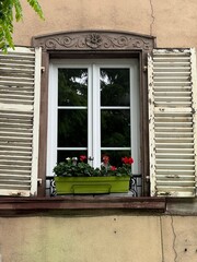 window with flowers
