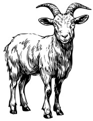 Intricate Cartoon Goat Sketch A Classic Monochrome Representation, Sketch, No Background (2)