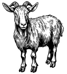 Intricate Cartoon Goat Sketch A Classic Monochrome Representation, Sketch, No Background (3)